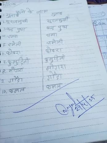 Discrimination To Dignity — photo 4